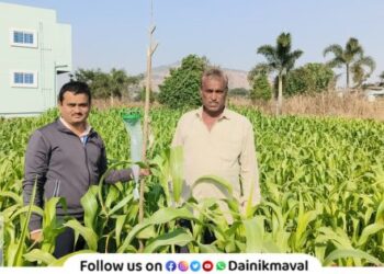 Campaign of Maval Taluka Agriculture Department to protect rabi season crops from pests