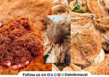 Production of cocopeat fertilizer from waste coconut Environment Friendly Activities