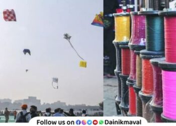 kite flying Ban on sale of nylon manja
