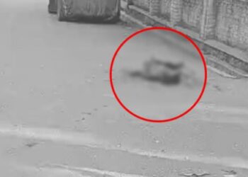 तळेगाव शहर हादरले ! भरदिवसा गर्दीच्या ठिकाणी युवकाची हत्या । Murder in Talegaon Dabhade City