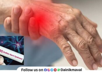 No cases of Guillain Barrie Syndrome GBS disease have been detected in Maval taluka