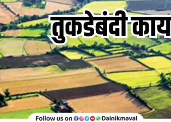 proposal should be submitted regarding amendment of Fragmentation Act said Revenue Minister