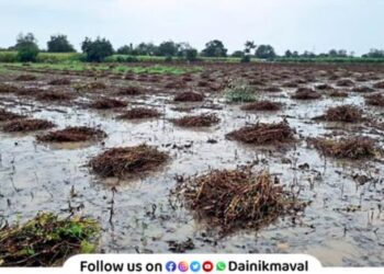 Agriculture farmers damage to agricultural goods damaged farmers agricultural damage
