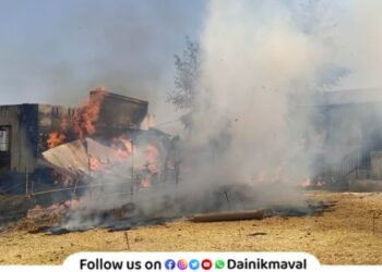 Three cows died and three were injured in massive fire broke out in cowshed in Maval