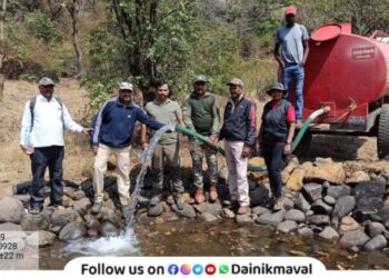 Forest Department creates 36 artificial water bodies in Maval taluka Wildlife will get water during summer