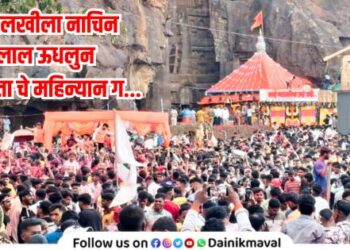Ekvira Devi Chaitra Yatra Palkhi ceremony concludes with enthusiasm in Karla Maval