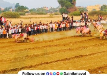 Bailgada Sharyat at Vehergaon Karla Ekvira Devi Yatra 2025