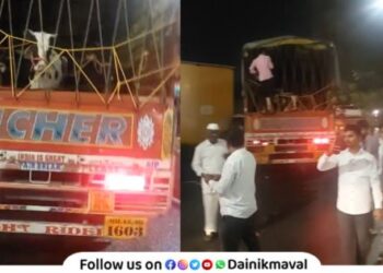 Vadgaon Maval 47 cows 29 calves rescued with the help of cow vigilantes