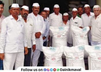 Distribution of fragrant Indrayani variety seeds to farmers in Maval taluka