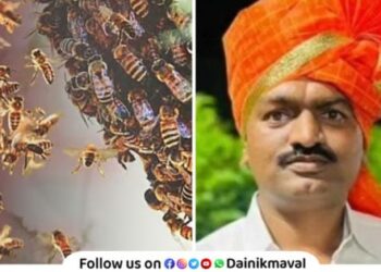 Bees attack citizens who went for morning walk Death of former deputy sarpanch shocking incident in Maval