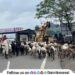 Shepherds who went to Konkan begin their journey back home