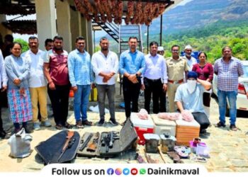 Illegal wildlife hunting in Maval Weapons meat seized accused arrested Forest Department major action