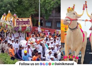 Ashadhi Wari 2025 Manik and Raja will pull Palki Rath of Saint Tukaram Maharaj