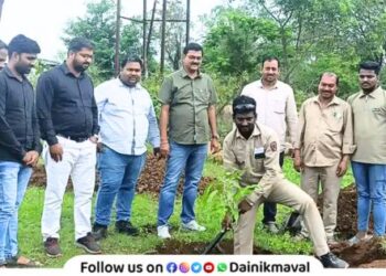 Tree plantation on occasion of World Environment Day by Vadgaon Maval Mahavitaran Sub Division