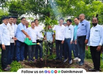 World Environment Day mahogany trees planted in Sant Tukaram Sugar Factory premises Maval
