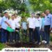 World Environment Day mahogany trees planted in Sant Tukaram Sugar Factory premises Maval