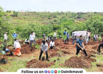 Vadgaon Nagar Panchayat to plant 25 thousand trees