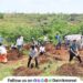 Vadgaon Nagar Panchayat to plant 25 thousand trees