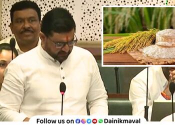 shortage of Indrayani rice seeds MLA Sunil Shelke demands solutions from government