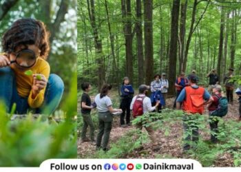 Nature observation activities in Talegaon Dabhade