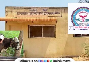 Veterinary clinics in 357 places in maharashtra will get new buildings