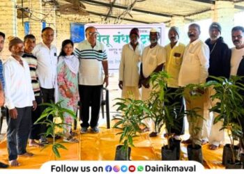 Distribution of saffron mango seedlings to farmers in Bhoyre Village for orchard cultivation