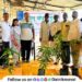Distribution of saffron mango seedlings to farmers in Bhoyre Village for orchard cultivation