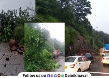 Fallen rocks trees near Amrutanjan Bridge on Mumbai-Pune Expressway removed