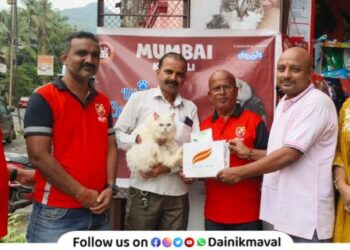 Cat lovers in Khopoli took part in the International Cat Day celebrations with enthusiasm