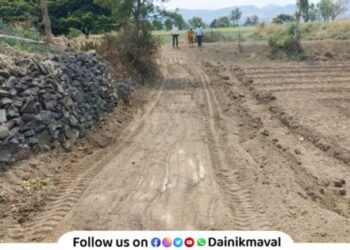 Panand road farm road