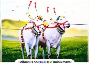 Pola Bailpola Bendur festival Why is Bail pola celebrated mythological story of Pola festival know in marathi