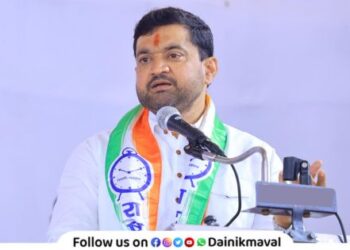 Insect infestation on rice crop in Maval taluka MLA Sunil Shelke appeals to farmers to take advantage of crop protection loan