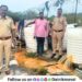 Vadgaon Maval police take action against liquor store in Done village Maval seized valuables worth