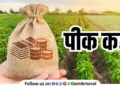 maharashtra Govt decision Big relief for farmers stamp duty waiver for crop loans up to Rs 2 lakh
