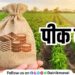 maharashtra Govt decision Big relief for farmers stamp duty waiver for crop loans up to Rs 2 lakh