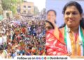 Karla Khadkala Zilla Parishad Group Maval Deepali Hulawale nominated by NCP
