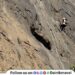 INS Shivaji employee dies after falling into a gorge at Lions Point Lonavala
