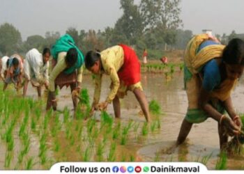 Women farmers to get distinct identity Women Farmers Empowerment Bill to be tabled during monsoon session