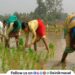 Women farmers to get distinct identity Women Farmers Empowerment Bill to be tabled during monsoon session
