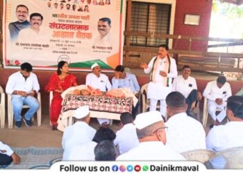 BJP Pawan Maval Mandal organizational review meeting held at Shivne Maval