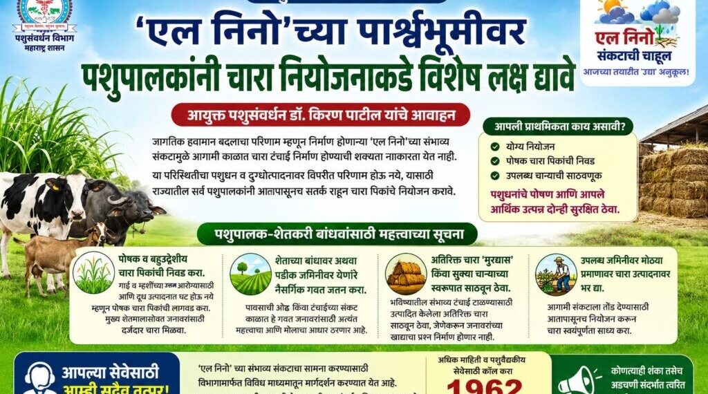 ‘एल निनो’च्या पार्श्वभूमीवर पशुपालकांनी चारा नियोजनाकडे विशेष लक्ष द्यावे – आयुक्त पशुसंवर्धन