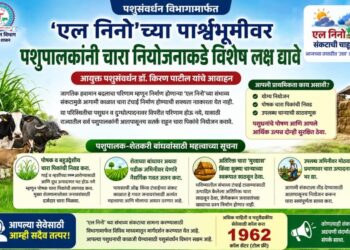 ‘एल निनो’च्या पार्श्वभूमीवर पशुपालकांनी चारा नियोजनाकडे विशेष लक्ष द्यावे – आयुक्त पशुसंवर्धन