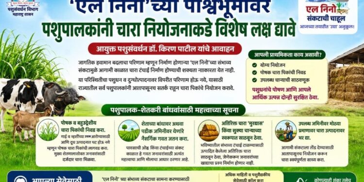 ‘एल निनो’च्या पार्श्वभूमीवर पशुपालकांनी चारा नियोजनाकडे विशेष लक्ष द्यावे – आयुक्त पशुसंवर्धन
