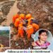 Patan Village Maval landslide accident parents and Son tragically died in landslide in morning
