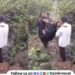 Video Struggle for road continues in Maval Taluka sick person has to be carried in makeshift sling