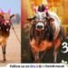 Maval beloved Omya passes away Bharat Kesari Omya the bull dies