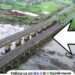 old stone bridge over Indrayani River at Pathargaon maval has been closed to traffic
