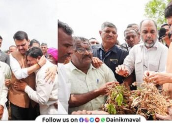 Drought declared in 265 talukas across maharashtra arrangements for water fodder employment food grains