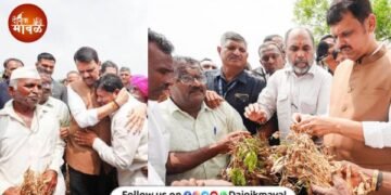 Drought declared in 265 talukas across maharashtra arrangements for water fodder employment food grains